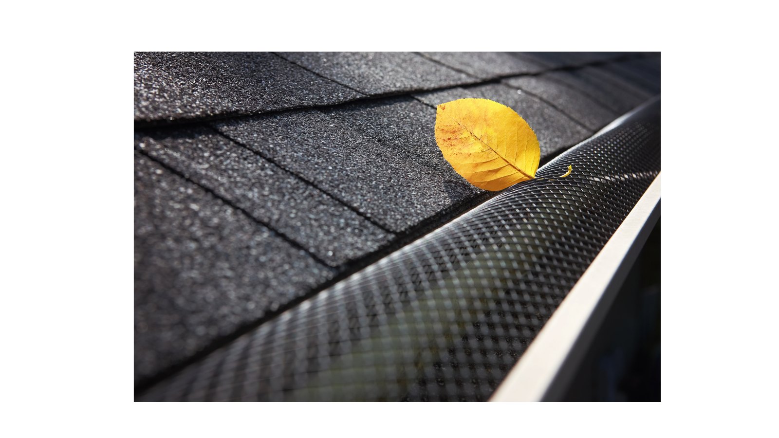 Gutter Guards
