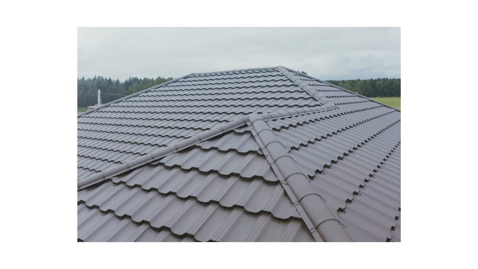 Ridge Capping, Bedding & Pointing