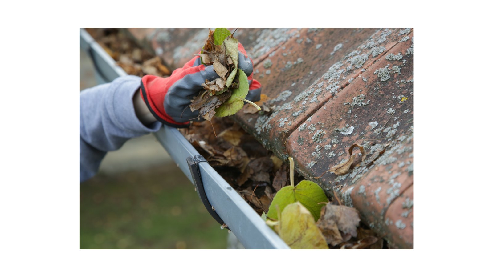 Gutter Cleaning